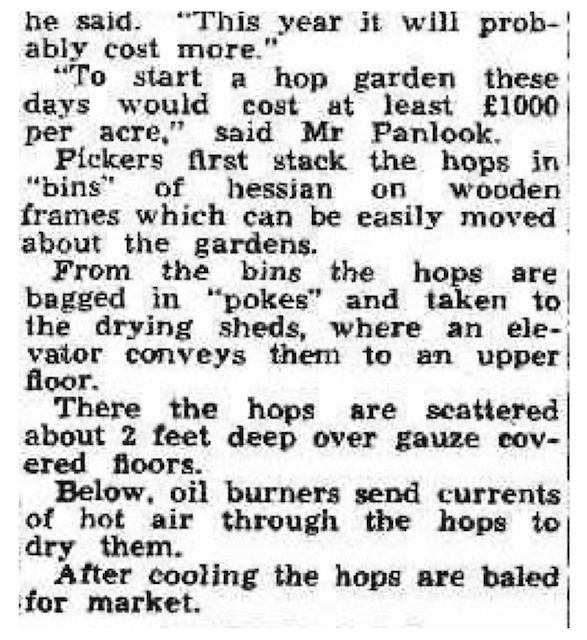 Two connected black-and-white newspaper clippings from the Border Morning Mail dated 6 March 1952. The headline reads “Hop harvest being gathered at Eurobin,” with a smaller subheading noting that 500 men, women, and children are picking the first hops of the season at “Rostrevor,” operated by Panlook Bros. Pty. Ltd. The article describes the 1000 acres of hop gardens in the Eurobin and Myrhee districts, wages for pickers, the variety of workers involved, and the economic importance of hops to Victoria. Quotes from Mr. W. Panlook, Mrs. M. Lucas, and pickers such as Joyce Phillips highlight the work, amenities, and social life during the harvest. Details are given about picking rates, drying processes, and the cost of starting a hop garden, along with notes on seasonal yields and market conditions.