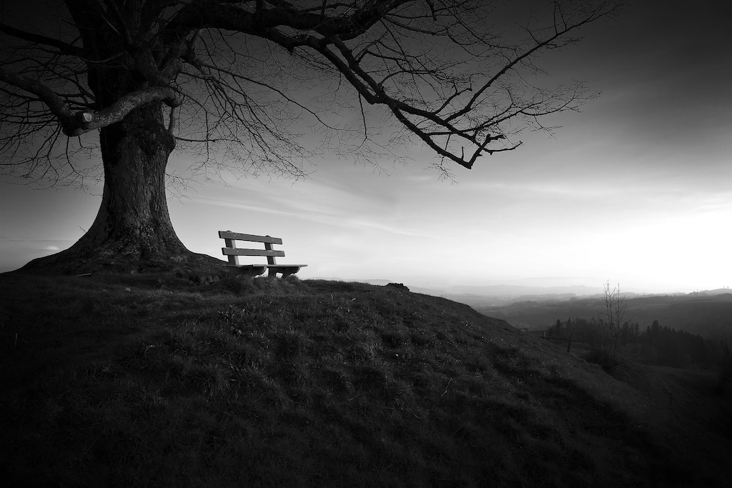 Lonely wooden bench beneath a large bare tree overlooking a misty valley at sunset, symbolising solitude and reflection.